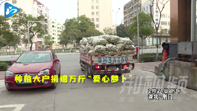 荆视频丨种植大户捐赠万斤“爱心萝卜”