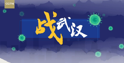 微视频：战武汉