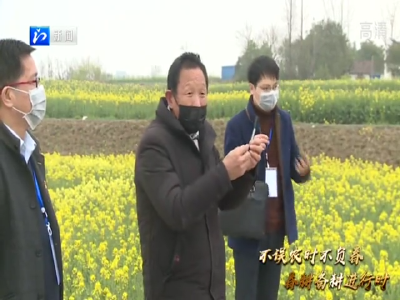 【省市媒体看沙洋】春耕备耕进行时丨各地春耕备耕忙 不误农时不负春