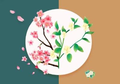 樱花感谢玫瑰花、茉莉花、木棉花……援鄂英雄，江湖再见！