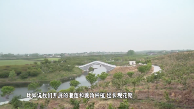 【省市媒体看沙洋】沙洋：赏花经济受挫调整结构增加农民收入