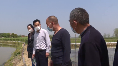 【省市媒体看沙洋】沙洋县左冢村：发展产业摘“穷”帽