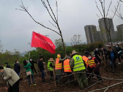荆门市举行义务植树活动