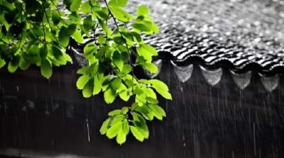 大暴雨来袭！水利部：不要让湖北人民在汛期再受苦！