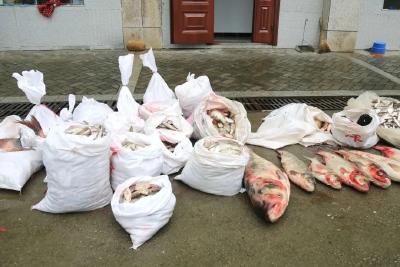 沙洋警方破获长湖非法捕捞案，抓14人，查渔获800斤