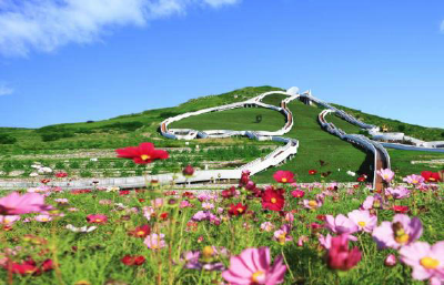 【幸福花开新边疆】北疆亮丽风景线的绿色生态新图景