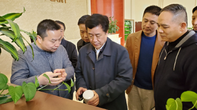 副市长胡小国带队在台州会见客商，并开展招商考察活动