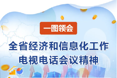 一图领会全省经济和信息化工作电视电话会议精神