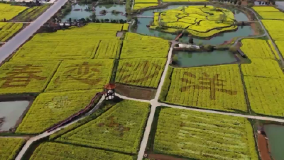 2021年湖北省油菜花节即将在沙洋启幕