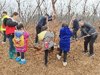 东宝泉口社区开展“周末亲子植树 ”活动