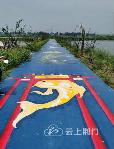 汉江生态经济带襄阳行丨网红路的顺势而为