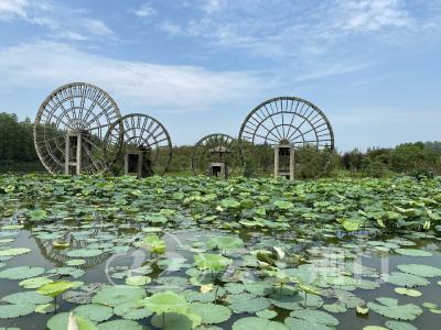 “汉江生态经济带荆门媒体行”仙桃武汉组报道之四 | 探访仙桃“绿肺”