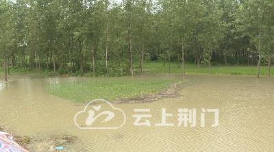 【媒体聚焦】沙洋李市：冲锋陷阵 党员先行