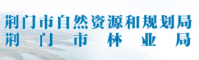 荆门市局多举措抓好用地服务保障积极服务地方经济社会发展