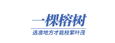 一树一桥一首歌，看大湾区的大未来