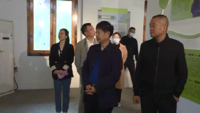 【媒体聚焦】周友坤在沙洋县调研“一枝花”工程推进情况