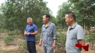 【媒体聚焦】沙洋：推行“红色五长制 ”  打通为民服务“最后一公里 ” 