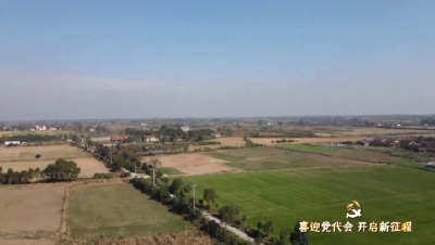 【媒体聚焦】 沙洋：红色林长带领村民增收致富奔小康 