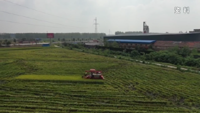 【媒体聚焦】沙洋：加快推进高标准农田建设 