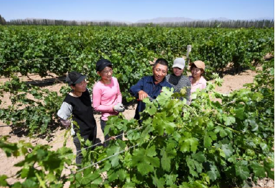 总书记和人民心贴心丨“总书记的真心关怀，暖到了人的心窝子里”