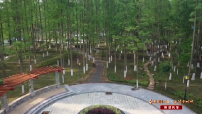 【媒体聚焦】 沙洋：打造“口袋公园”  点靓城市空间