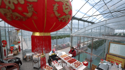 我与总书记“同框”丨“四季春”里处处春