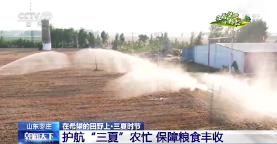 在希望的田野上·三夏时节丨全国夏种已完成意向面积近七成半