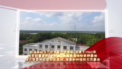 【媒体聚焦】空中看发展：美丽荆门·彭场林场