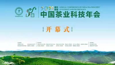 2021中国茶业科技年会开幕式