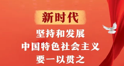 新时代坚持和发展中国特色社会主义要一以贯之，习近平总书记这样强调！