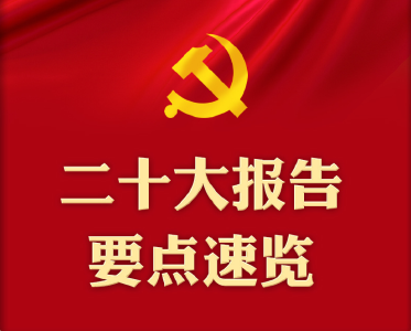 一图速览！二十大报告要点来了