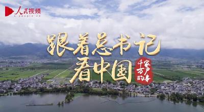 跟着总书记看中国｜守护洱海清波