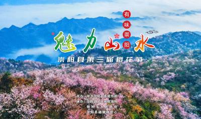 直播丨“魅力山水 有味崇阳”崇阳县第三届樱花节   