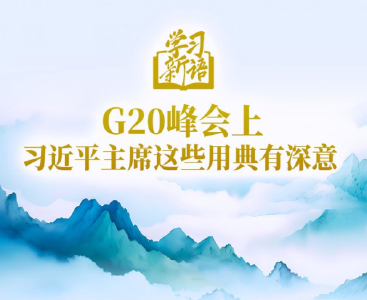 G20峰会上，习近平主席这些用典有深意