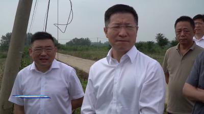 刘振军调研沙洋县经济运行、投资和重大项目建设等相关工作 