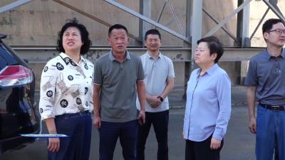 刘国芳 李志珍调研大气污染防治工作     