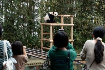 以团结与担当谋划亚太发展新篇章——写在习近平主席出席亚太经合组织第三十二次领导人非正式会议并对韩国进行国事访问之际 