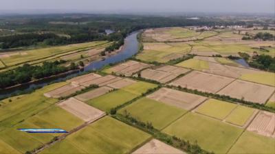 京山市3家企业38个基地入选2025年江汉大米核心生产基地