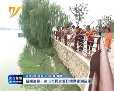 新闻追踪：热心市民自发打捞尹家湖蓝藻