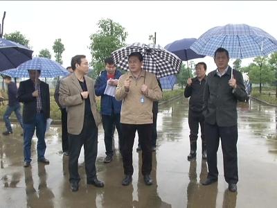 王刚检查督办全市重点工程建设情况