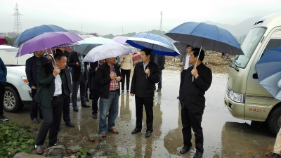 李修武调研金湖生态示范区劲牌生态园建设情况
