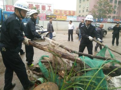 市政府办联合市公安局、市城管局、市工商局等十多家单位 专项整治  占道经营