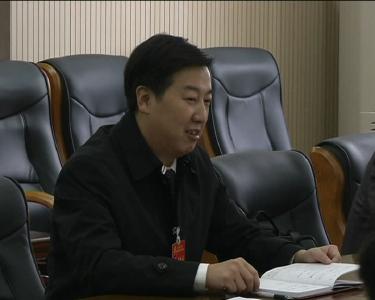 李修武参加第一、第六代表团分组审议