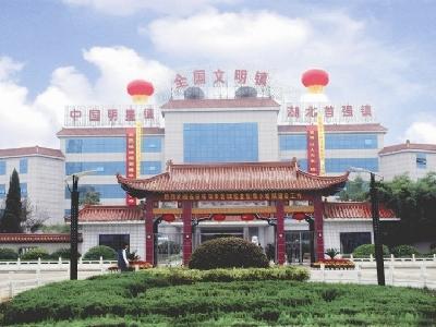 陈贵镇获选“黄石市基层思想政治工作改革创新第一批示范点”