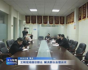 王刚现场接访群众  解决群众合理诉求