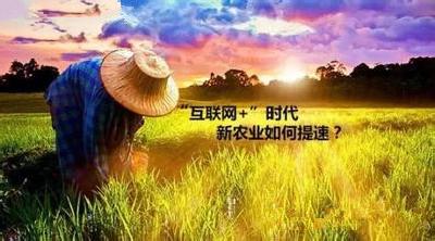 农村信息化助力我市精准扶贫