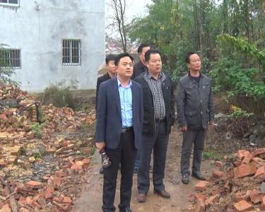 胡长春督办保安镇枫彩四季项目拆迁工作