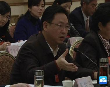 黄石市长董卫民参加大冶代表团分组审议