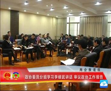 政协委员分组学习 李修武讲话 审议政协工作报告