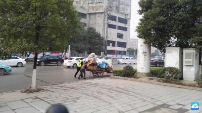 赞！爱心交警温暖冬日街头